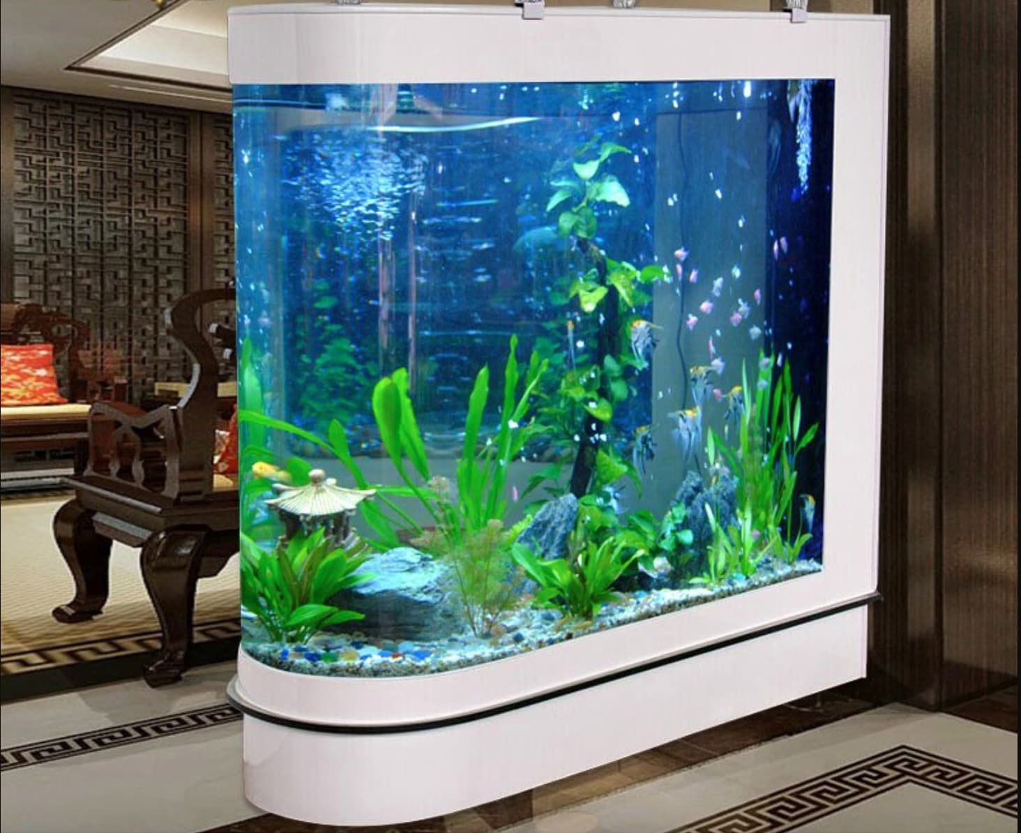 Nội thất cây xanh và hồ cá